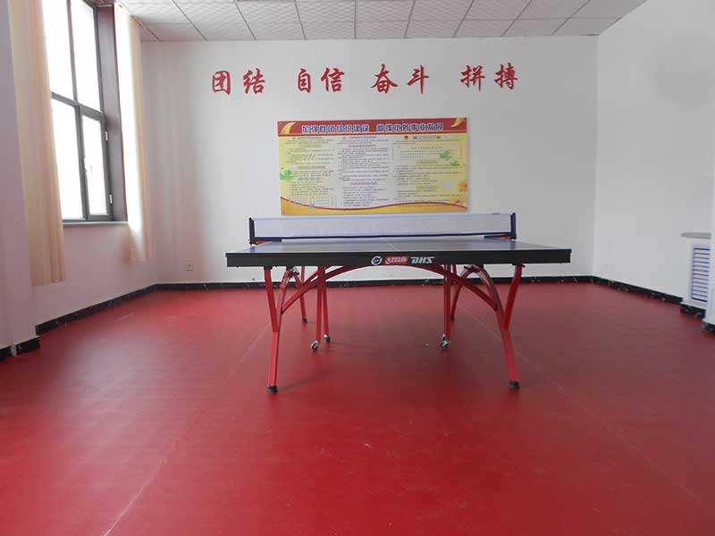 北京首鋼技術研究院乒乓球地膠
