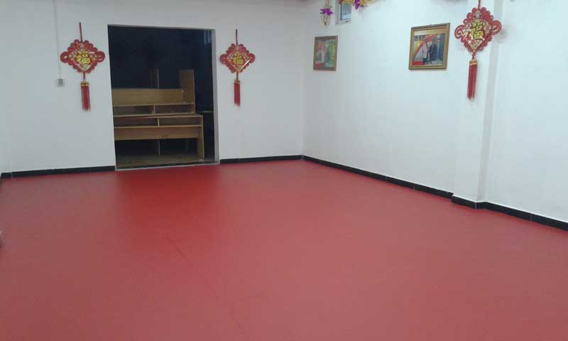 斑點紋紅色乒乓球地板