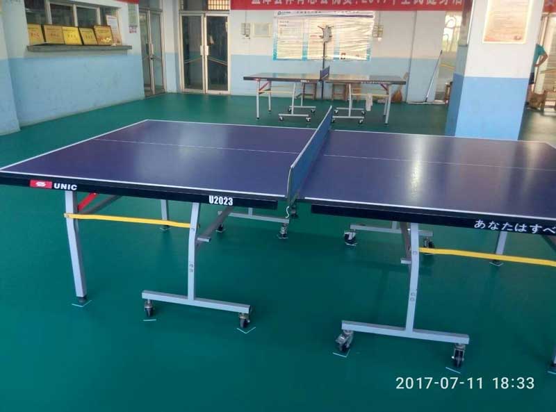 河南洛陽市孟津縣體育總局乒乓球運動地膠